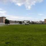 Ci ritroviamo cos� davanti un grande prato con degli alberi intorno...